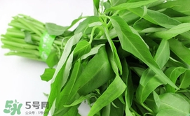 空心菜可以放冰箱嗎？空心菜能在冰箱放幾天