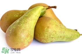 比利時啤梨要削皮嗎？比利時啤梨怎么放軟