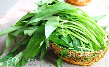 空心菜有毒嗎？空心菜需要焯水嗎？