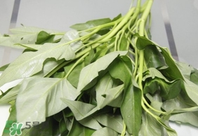 空心菜可以生吃嗎？空心菜能生吃嗎