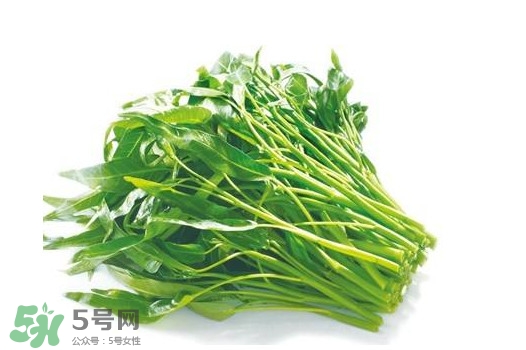 空心菜有毒嗎？空心菜需要焯水嗎？