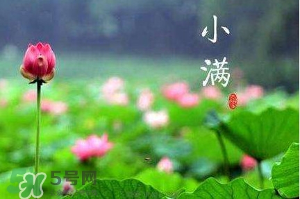 節(jié)氣小滿大滿是什么意思？24節(jié)氣為什么沒有大滿