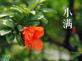 ?小滿可以回娘家嗎？?小滿能回娘家嗎？