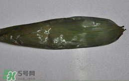 粽葉怎么曬干？粽葉怎么曬干不卷？