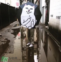 ripndip是什么牌子？ripndip是什么檔次？