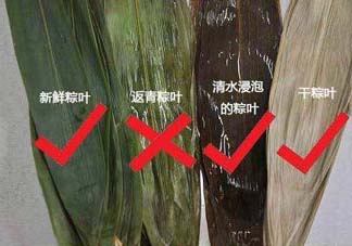 粽葉怎么曬干？粽葉怎么曬干不卷？