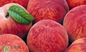桃子和西瓜一起吃會(huì)中毒嗎？桃子和西瓜能一起吃嗎？