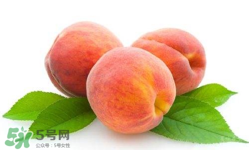 桃子的種類有哪些？哪種桃子最好吃？