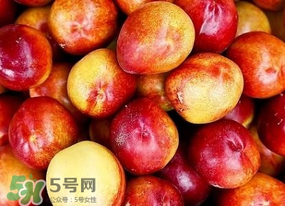 桃子的種類有哪些？哪種桃子最好吃？