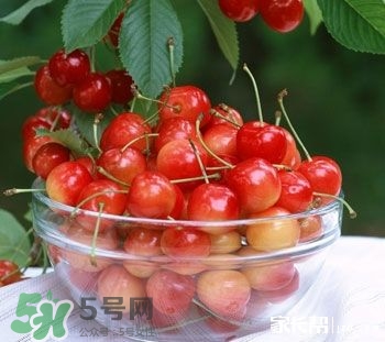 櫻桃是熱性還是涼性？櫻桃能多吃嗎？