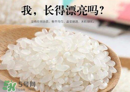 大米可以包粽子嗎？包粽子大米要泡多久？