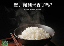 大米可以包粽子嗎？包粽子大米要泡多久？