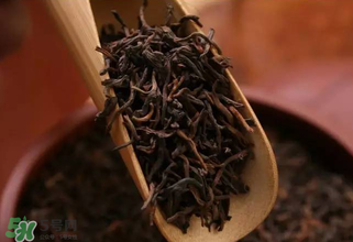 普洱茶能不能天天喝？天天喝普洱茶好嗎？