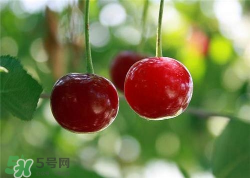 哺乳期能吃櫻桃嗎？哺乳期吃櫻桃寶寶會(huì)上火嗎？