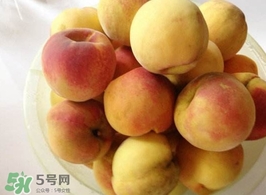 黃桃是杏子嗎？黃桃和杏子的區(qū)別