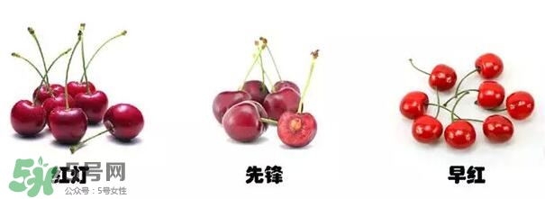 櫻桃和車?yán)遄佑惺裁磪^(qū)別？櫻桃和車?yán)遄幽膫€貴？