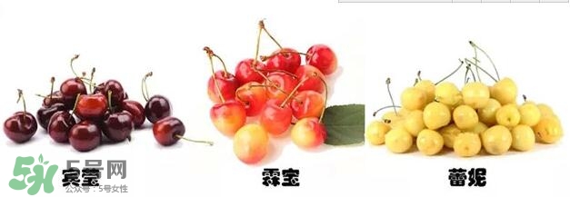 櫻桃和車?yán)遄佑惺裁磪^(qū)別？櫻桃和車?yán)遄幽膫€貴？