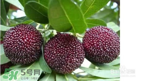 楊梅怎么吃好吃？楊梅怎么吃不酸？