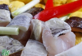 鱷魚肉有刺嗎？鱷魚肉有什么功效