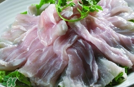 鱷魚肉是寒性的嗎？ 鱷魚肉是寒性還是溫性？