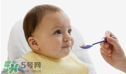 寶寶幾個月可以吃肉松？寶寶多大可以吃肉松