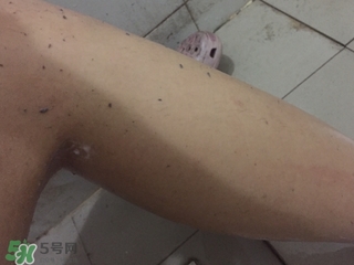 shills舒兒絲去角質(zhì)雪泡怎么用？shills舒兒絲去角質(zhì)雪泡用法