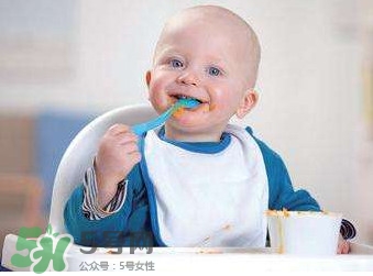 寶寶幾個月可以吃肉松？寶寶多大可以吃肉松
