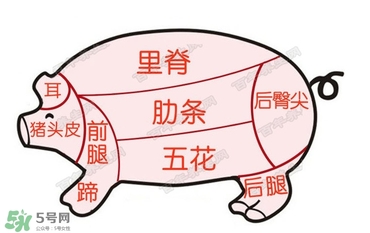 后臀尖多少錢一斤？豬后臀尖在哪？