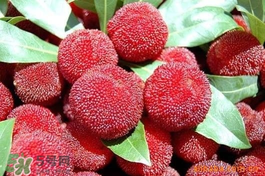 楊梅吃多了會上火嗎？楊梅吃多了會胖嗎？