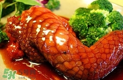 鱷魚肉是寒性的嗎？ 鱷魚肉是寒性還是溫性？