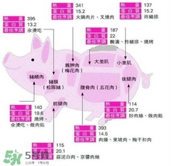 里脊肉是哪個部位？里脊肉是哪里的肉