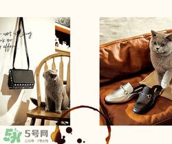 belle是什么牌子？百麗是哪個國家的品牌？