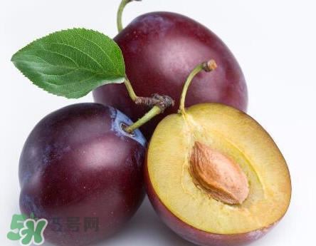 三華李可以放多久？三華李可以冷藏嗎？