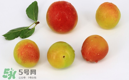 雙華李有什么營養(yǎng)？雙華李的營養(yǎng)價(jià)值