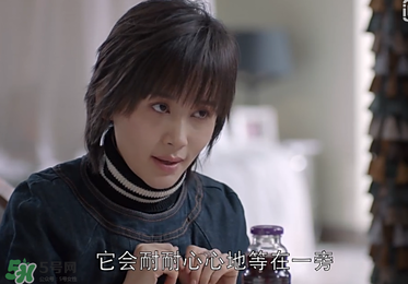 蒼蠅粉是什么意思？蒼蠅粉是什么東西？