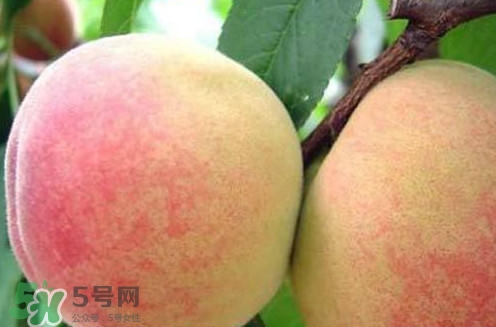 陽山水蜜桃?guī)自路萆鲜?？陽山水蜜桃上市時間