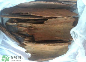 安哥拉樹皮能天天吃嗎？安哥拉樹皮天天吃可以嗎？