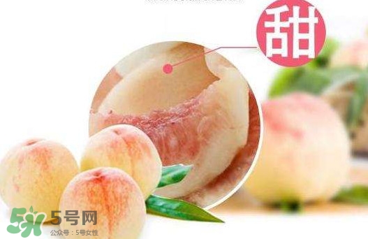 無錫水蜜桃多少錢一斤2017？無錫水蜜桃什么時候上市