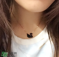 施華洛世奇黑天鵝是什么材質(zhì)？施華洛世奇黑天鵝是水晶嗎？