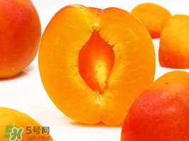 杏子幾月成熟？杏子什么時(shí)候成熟？