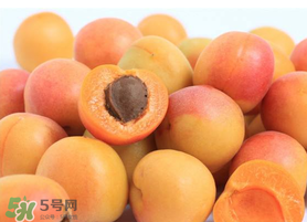 杏子一天吃幾個？杏子一次可以吃多少？