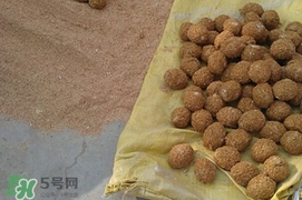 松花蛋是怎么做出來的？松花蛋的家庭腌制方法