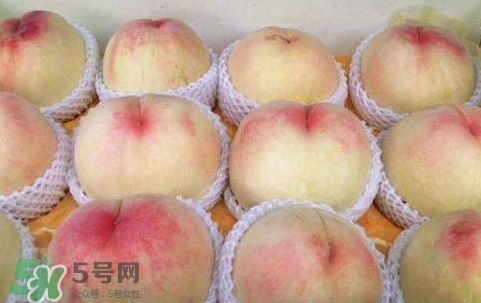 無錫水蜜桃多少錢一斤2017？無錫水蜜桃什么時候上市