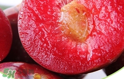 雙華李幾月可以吃？雙華李什么季節(jié)成熟