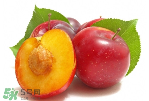 三華李可以放多久？三華李可以冷藏嗎？