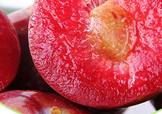 雙華李幾月可以吃？雙華李什么季節(jié)成熟