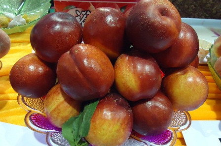 三華李可以用鹽泡嗎？三華李能用鹽水泡嗎
