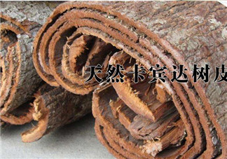 安哥拉樹(shù)皮能天天吃嗎？安哥拉樹(shù)皮天天吃可以嗎？