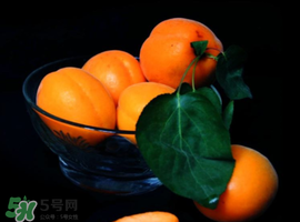 杏子可以和芒果一起吃嗎？吃完杏子可以吃芒果嗎？