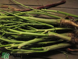 莧菜桿能吃嗎？莧菜桿子可以吃嗎？
